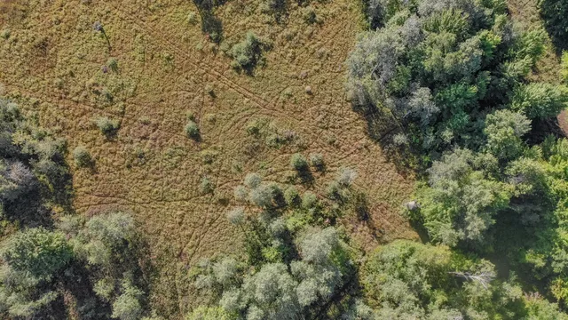 $3,200,000 | 1231 Manor Road, Omer, MI 48749