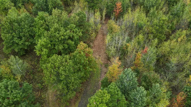 $3,200,000 | 1231 Manor Road, Omer, MI 48749