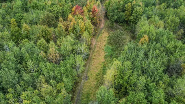 $3,200,000 | 1231 Manor Road, Omer, MI 48749