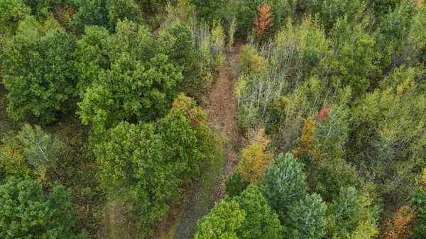 $3,200,000 | 1231 Manor Road, Omer, MI 48749