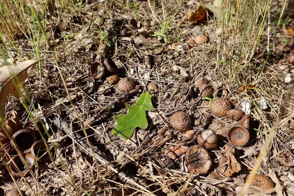 $3,200,000 | 1231 Manor Road, Omer, MI 48749