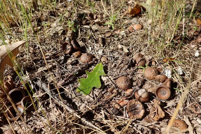 $3,200,000 | 1231 Manor Road, Omer, MI 48749