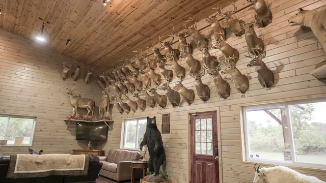 $3,200,000 | 1231 Manor Road, Omer, MI 48749