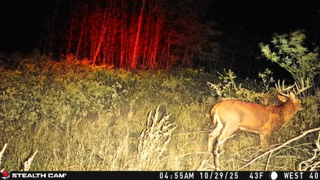 $3,200,000 | 1231 Manor Road, Omer, MI 48749