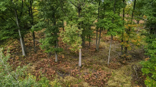 $3,200,000 | 1231 Manor Road, Omer, MI 48749