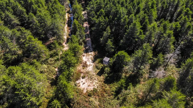 $3,200,000 | 1231 Manor Road, Omer, MI 48749