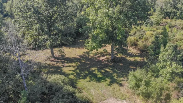 $3,200,000 | 1231 Manor Road, Omer, MI 48749