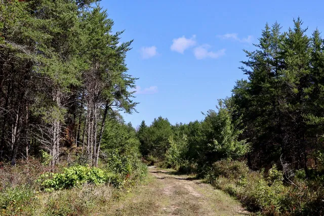 $3,200,000 | 1231 Manor Road, Omer, MI 48749