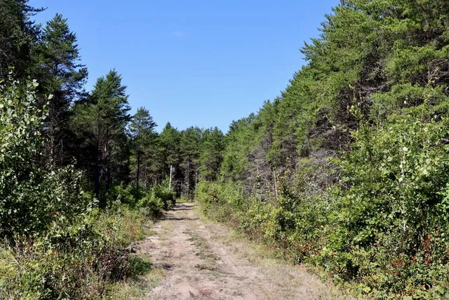 $3,200,000 | 1231 Manor Road, Omer, MI 48749