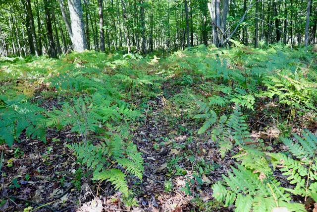 $3,200,000 | 1231 Manor Road, Omer, MI 48749