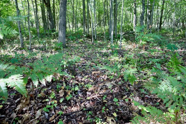 $3,200,000 | 1231 Manor Road, Omer, MI 48749