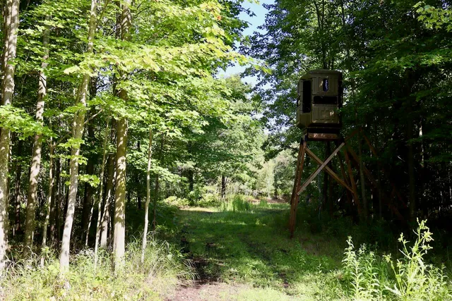 $3,200,000 | 1231 Manor Road, Omer, MI 48749