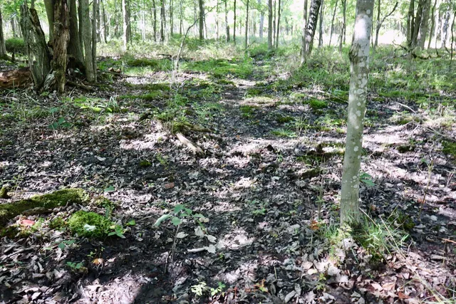 $3,200,000 | 1231 Manor Road, Omer, MI 48749