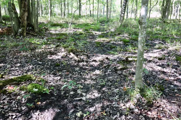 $3,200,000 | 1231 Manor Road, Omer, MI 48749