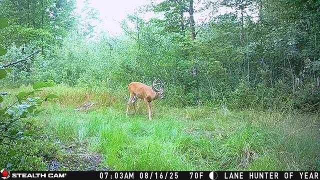 $3,200,000 | 1231 Manor Road, Omer, MI 48749