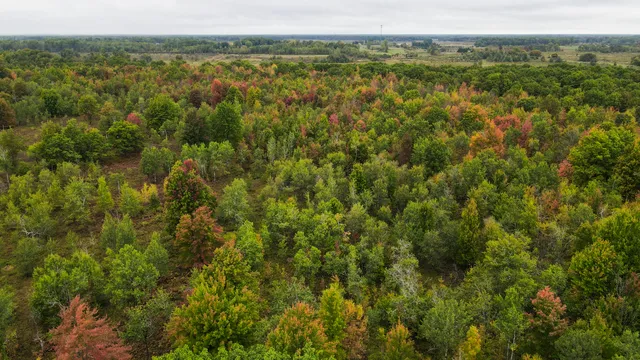 $3,200,000 | 1231 Manor Road, Omer, MI 48749