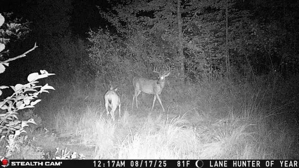 $3,200,000 | 1231 Manor Road, Omer, MI 48749