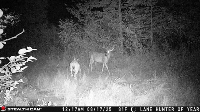 $3,200,000 | 1231 Manor Road, Omer, MI 48749