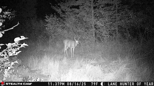 $3,200,000 | 1231 Manor Road, Omer, MI 48749