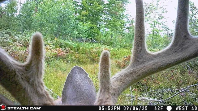 $3,200,000 | 1231 Manor Road, Omer, MI 48749