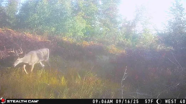 $3,200,000 | 1231 Manor Road, Omer, MI 48749