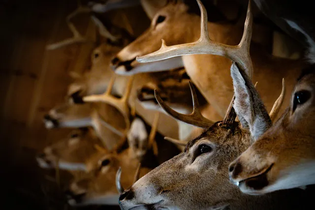 $3,200,000 | 1231 Manor Road, Omer, MI 48749