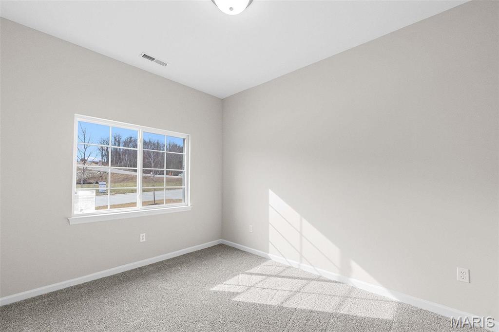 887 Walter Way Washington, MO 63090 - Photo 17 of 21