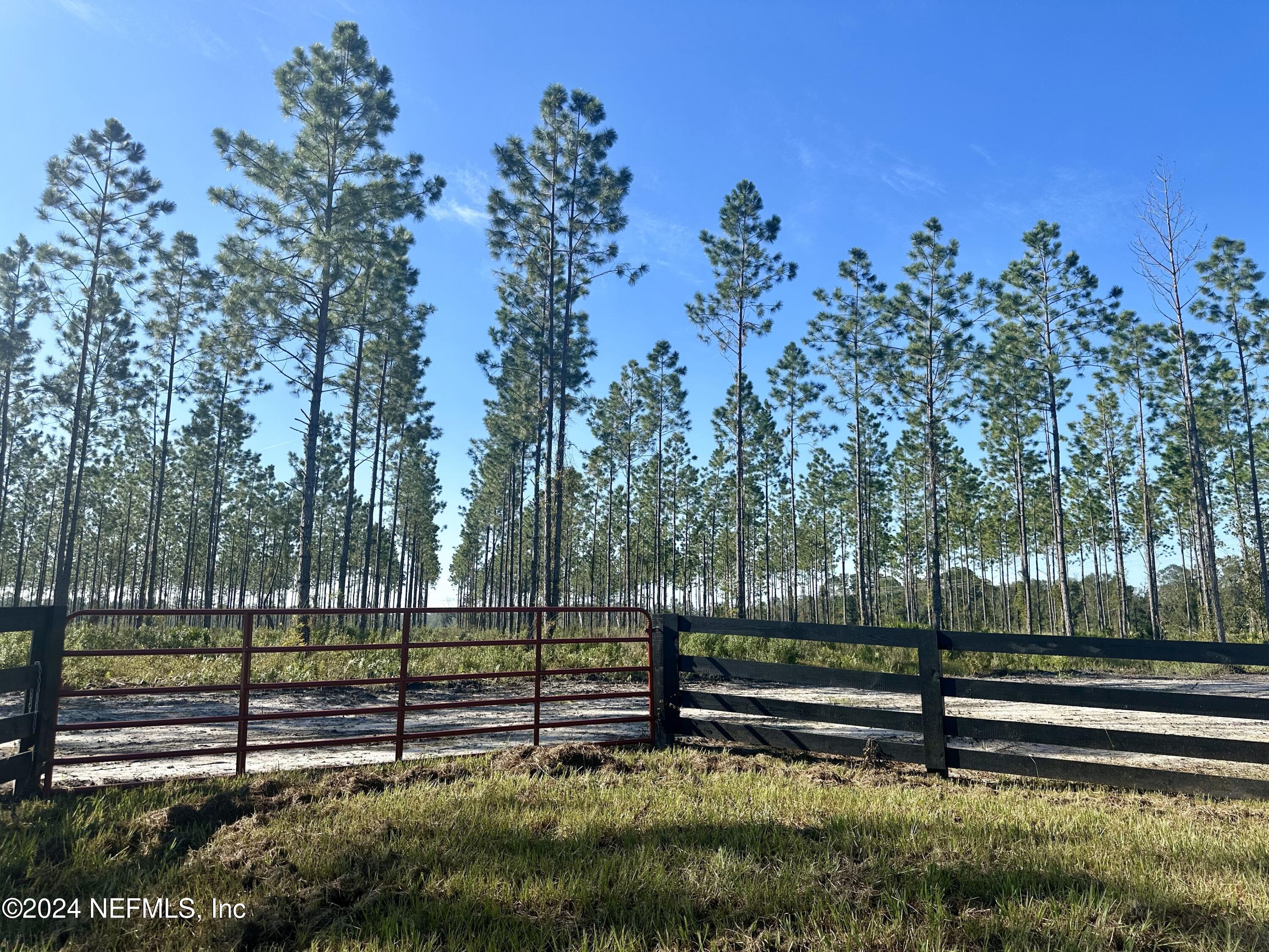 172555 Andrews Road Hilliard, FL 32046 - Photo 11 of 24 IMG_6812
