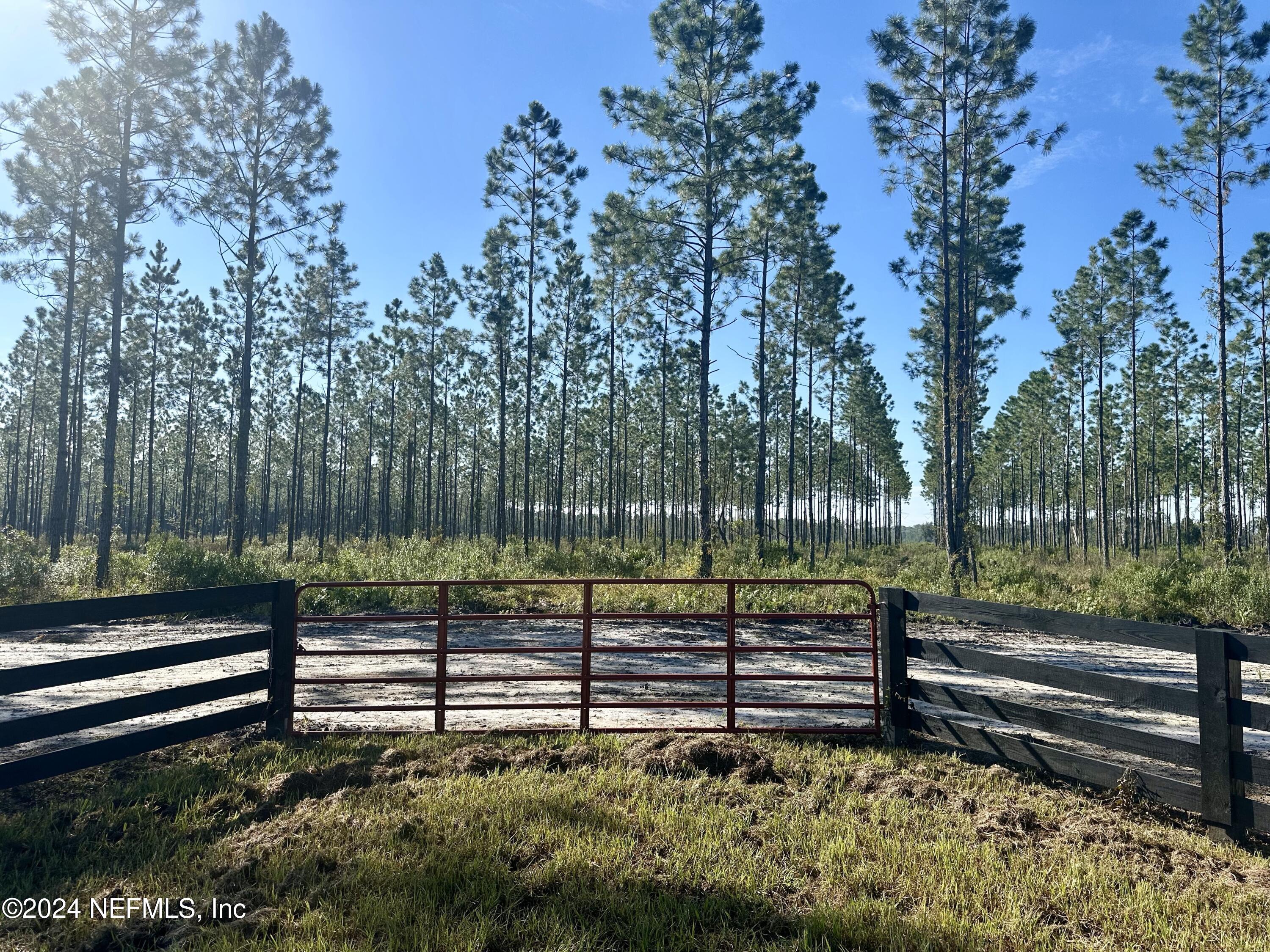 172555 Andrews Road Hilliard, FL 32046 - Photo 13 of 24 IMG_6809