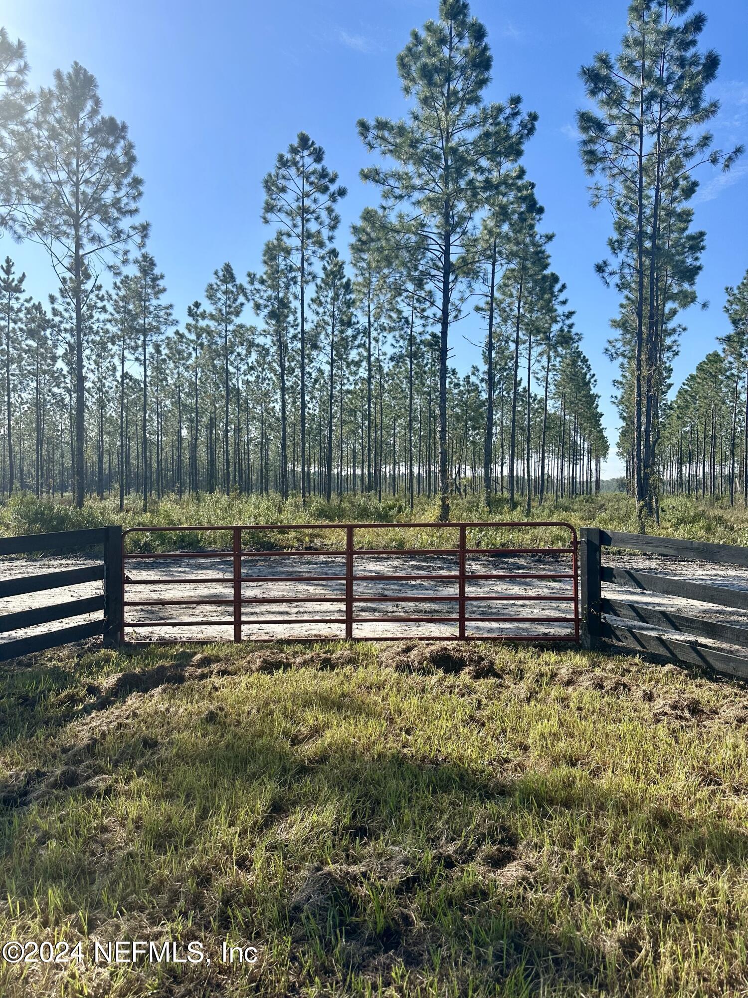 172555 Andrews Road Hilliard, FL 32046 - Photo 14 of 24 IMG_6808
