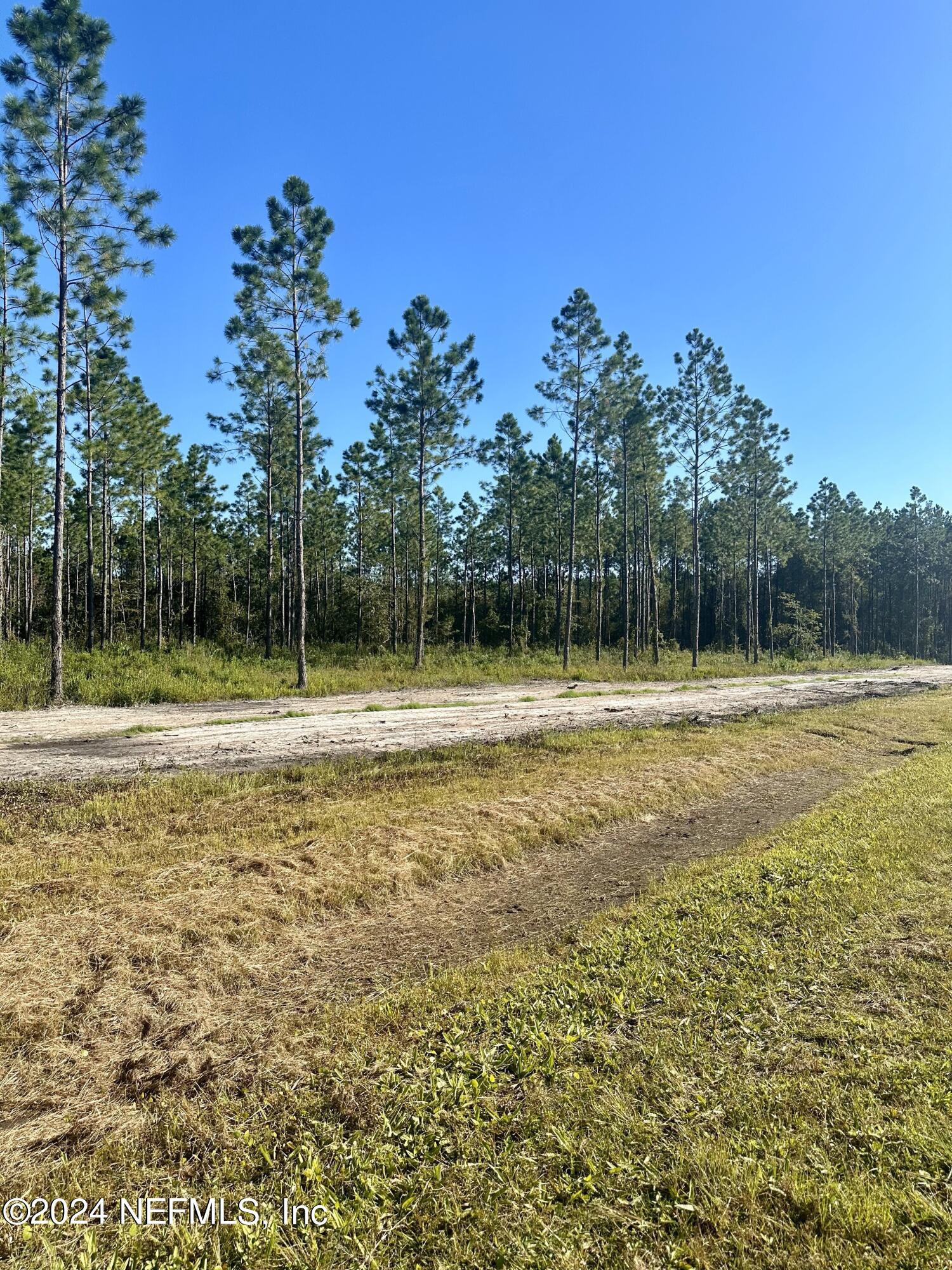 172555 Andrews Road Hilliard, FL 32046 - Photo 20 of 24 IMG_6802