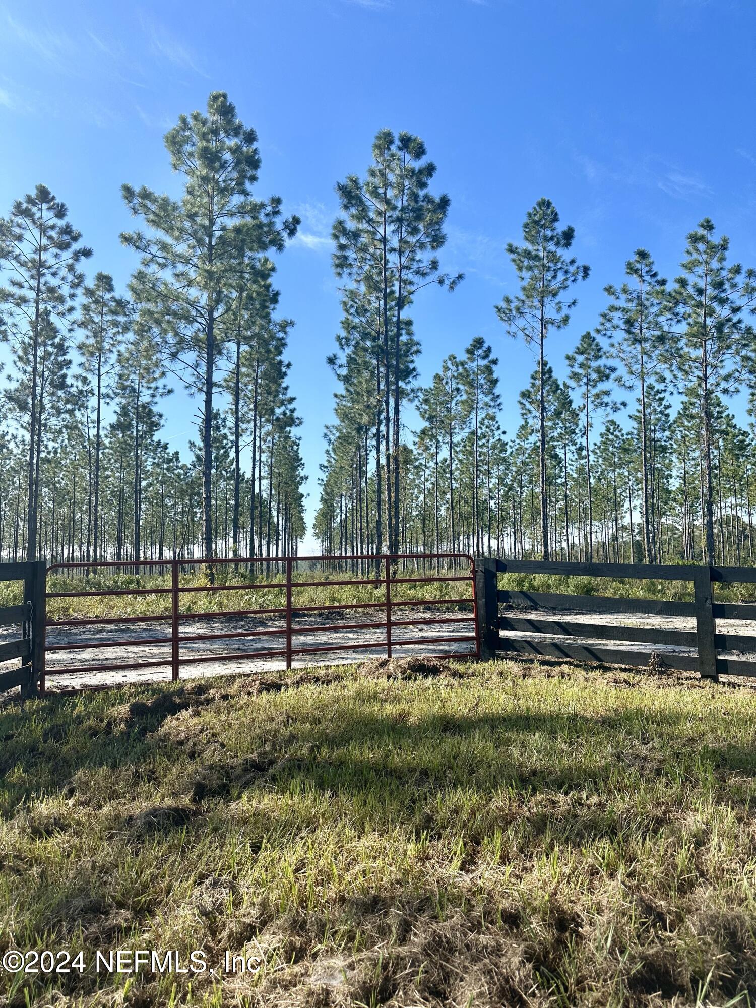 172555 Andrews Road Hilliard, FL 32046 - Photo 10 of 24 IMG_6813