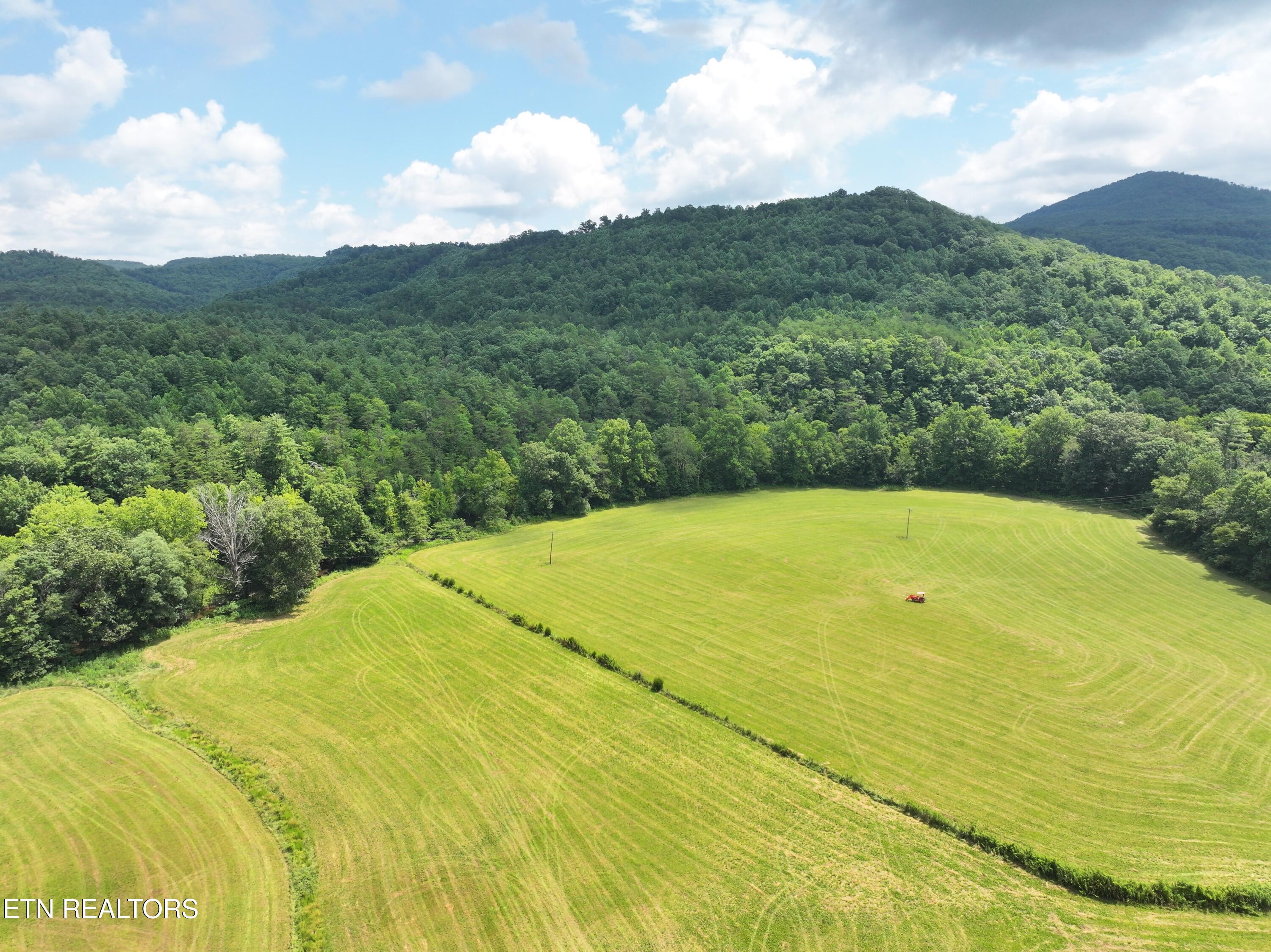 7914 Brimstone Road Robbins, TN 37852 - Photo 46 of 57 dji_fly_20260709_090350_0800_17836841205