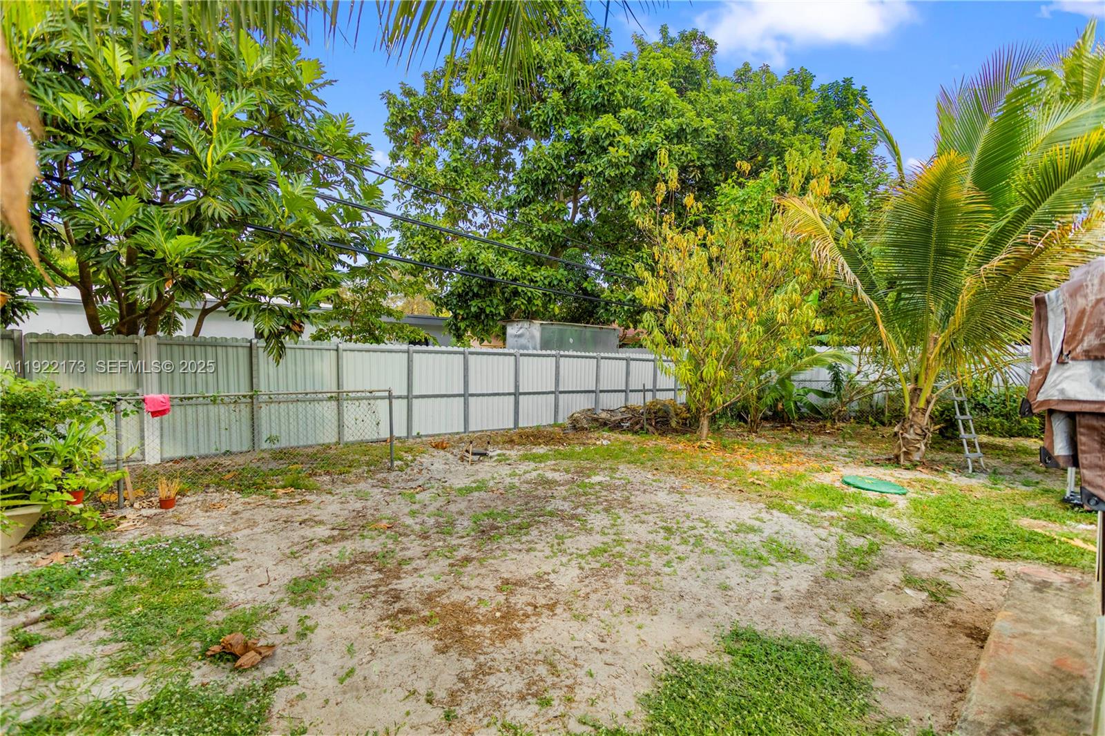 1341 Northwest 132nd Street Miami, FL 33167 - Photo 45 of 52 a view of backyard and tree