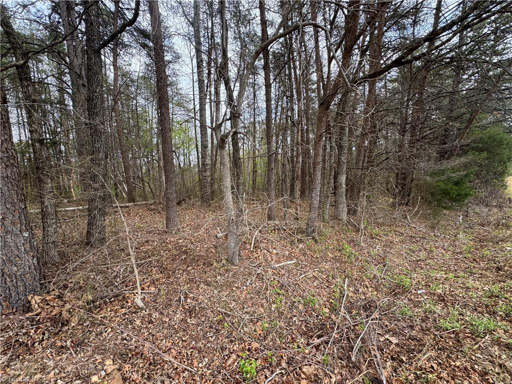 0 Brims Grove Road Pinnacle, NC 27043 - Photo 6 of 10