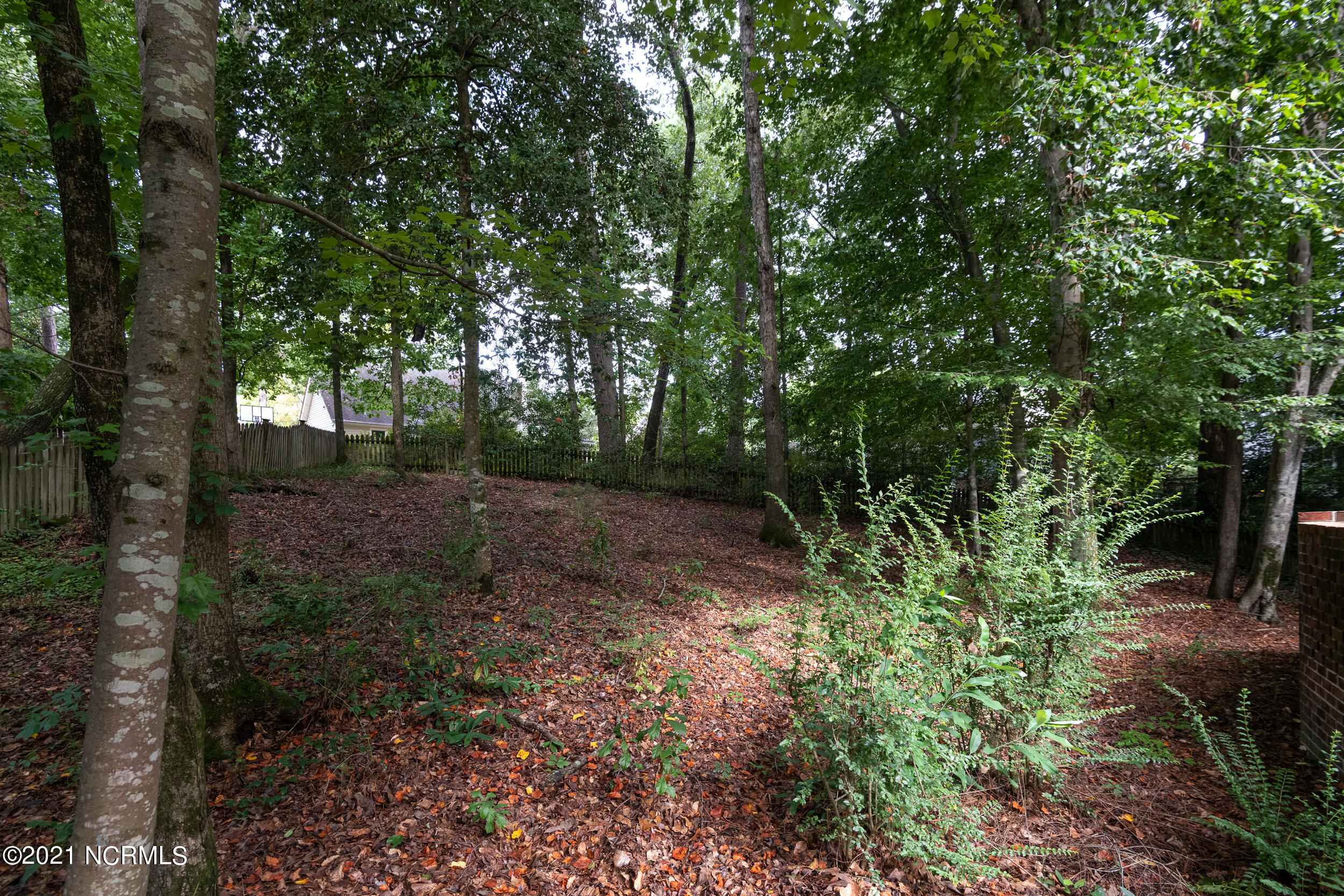 506 Kent Road Greenville, NC 27858 - Photo 42 of 50 506KENT (42)