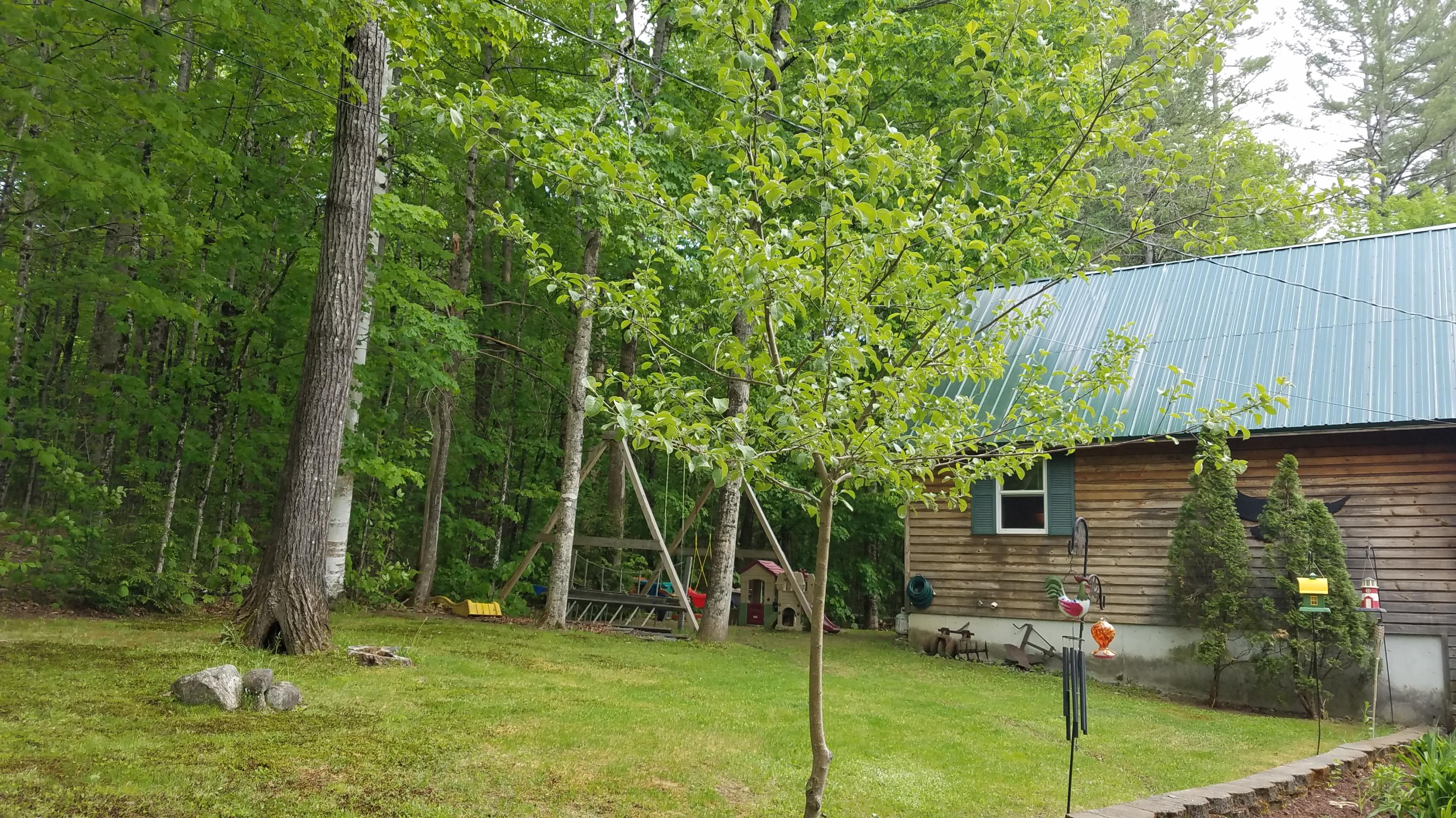 40 Stream Road Vienna, ME 04360 - Photo 20 of 28 20200601_160652