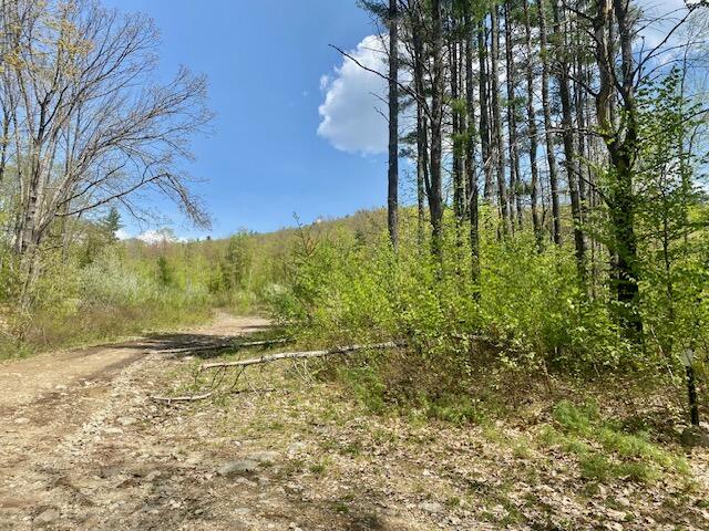 42-ac 42-ac Ben Gilpatrick Road Hiram, ME 04041 - Photo 2 of 14