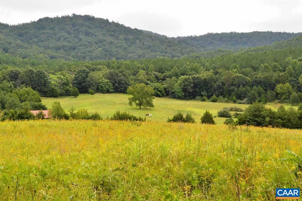 2645 High Fields Road Keswick, VA 22947 - Photo 42 of 43 Gallery Image 42