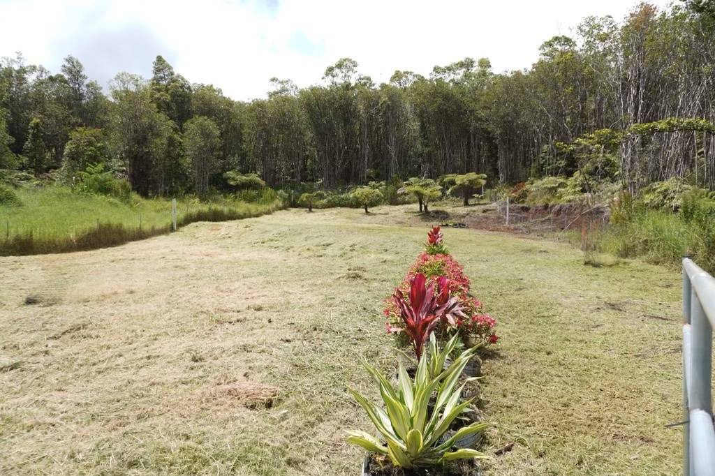 18-2300 Lot 85 Elua Road Mountain View, HI 96771 - Photo 5 of 8 Gallery Image 5