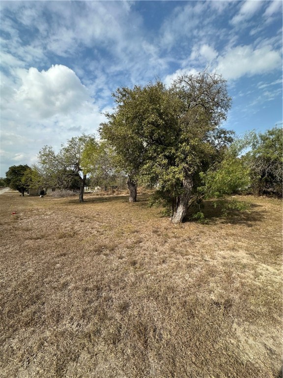 a view of dirt field with trees in background
