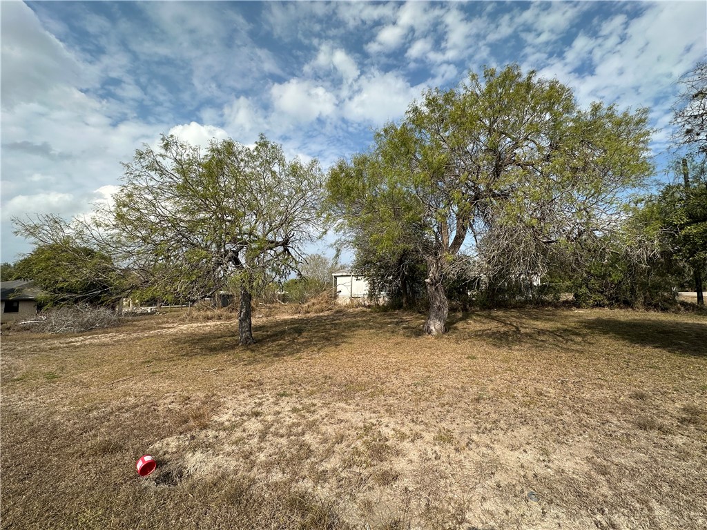 0 2nd Street Mathis, TX 78368 - Photo 3 of 9 a backyard of a house with lots of green space