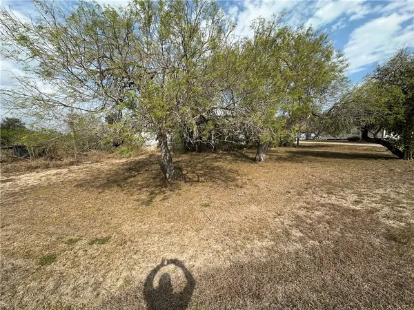 a view of a yard with a tree
