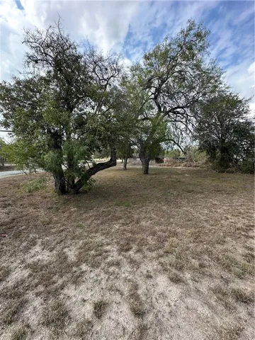 a view of dirt yard with a trees