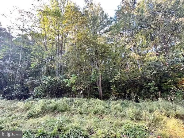 a view of outdoor space and green space