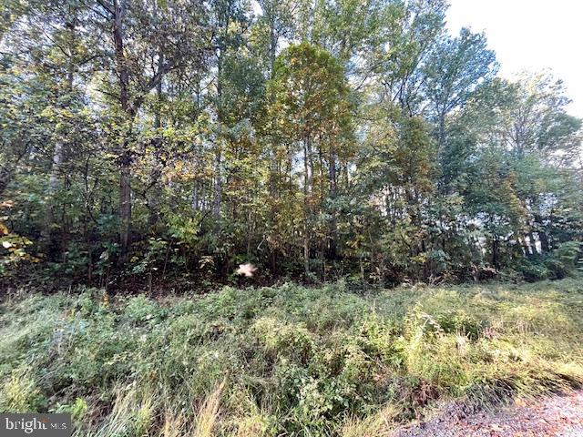 0 Short Mountain Road Edinburg, VA 22824 - Photo 13 of 13 a view of outdoor space and green space