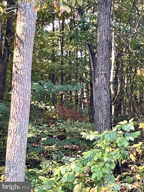 0 Short Mountain Road Edinburg, VA 22824 - Photo 5 of 13 a backyard of a house