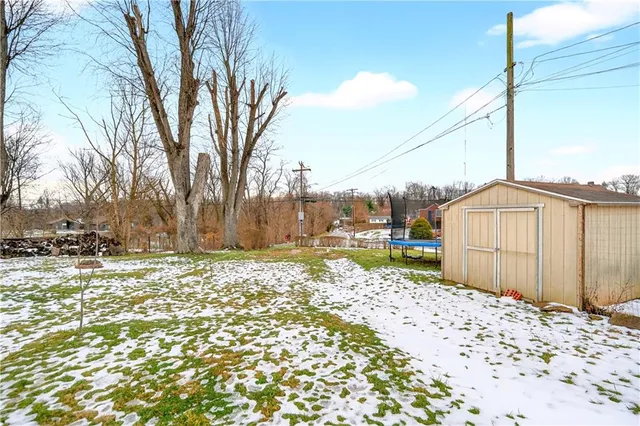a view of a backyard with a large tree