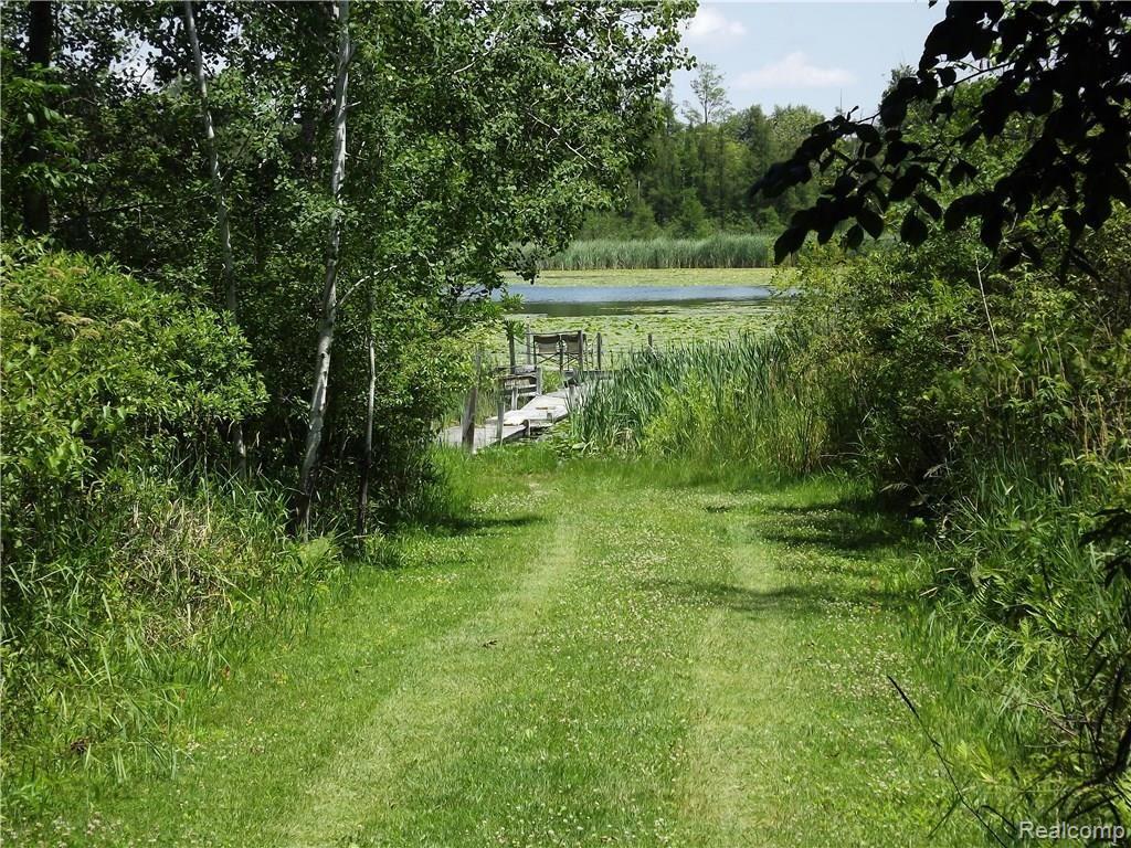 2825 Burden Road Stockbridge, MI 49285 - Photo 60 of 62 Path to the dock