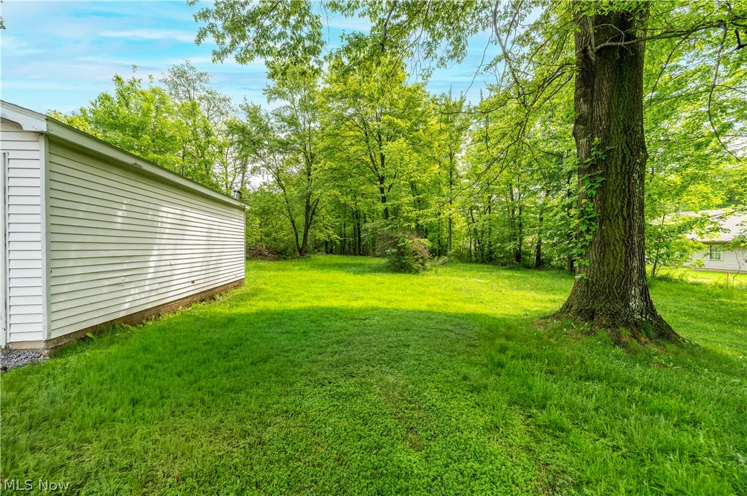 6665 Clingan Road Youngstown, OH 44514 - Photo 8 of 50